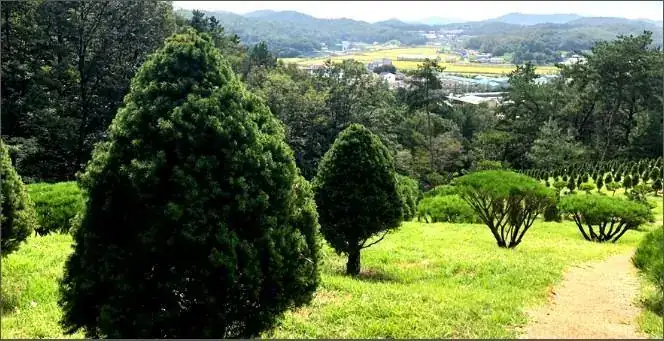청솔수목원 (청솔수목장) 사진 4