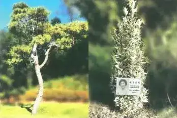 자연애숲 사진 2