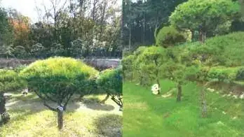 자연애숲 사진 3