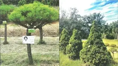 자연애숲 사진 5