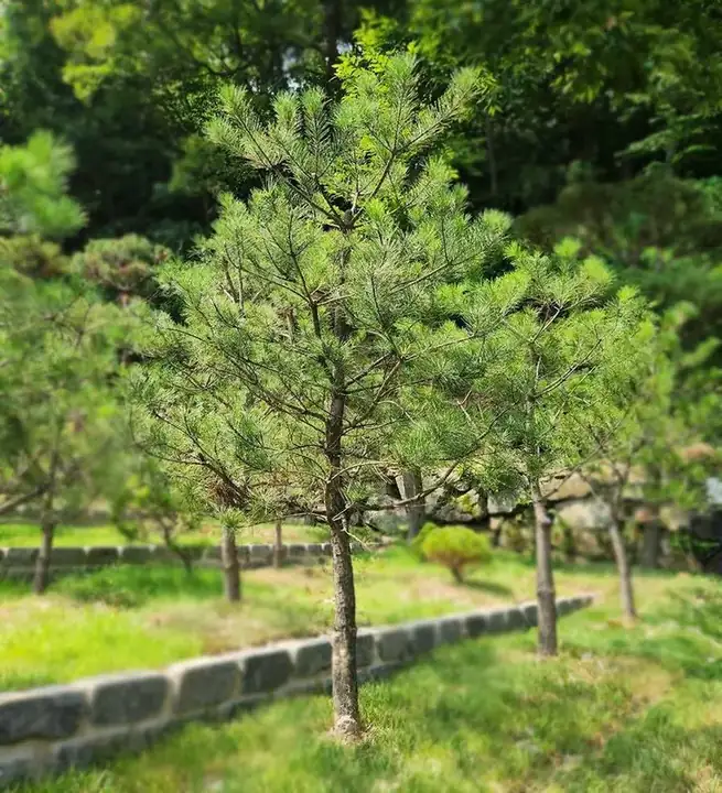 무량사 사진 3