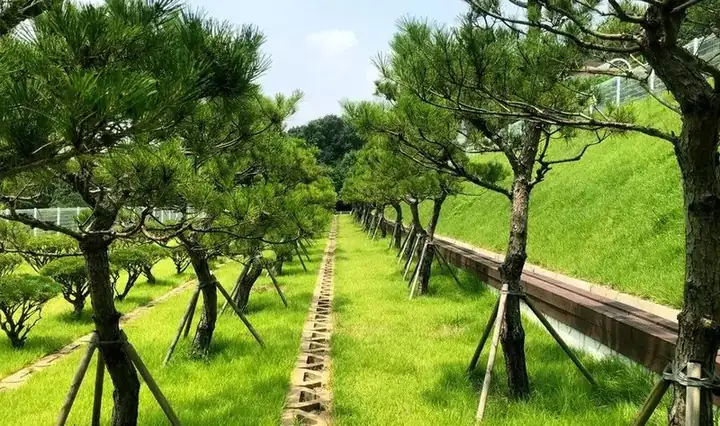 남서울 가족공원 사진 5